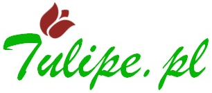 tulipe.pl